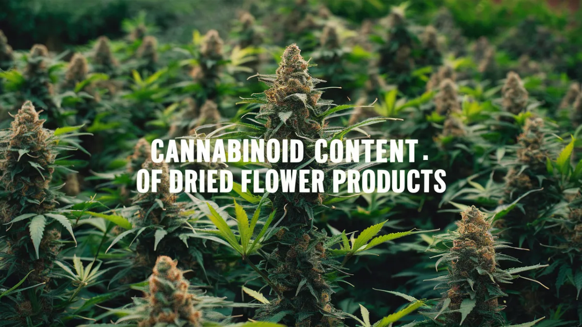 Cannabinoid Content of Dried Flower Products