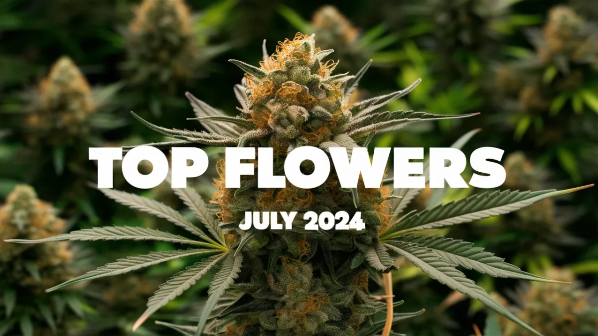 July 2024 Top Flowers by Sentiment