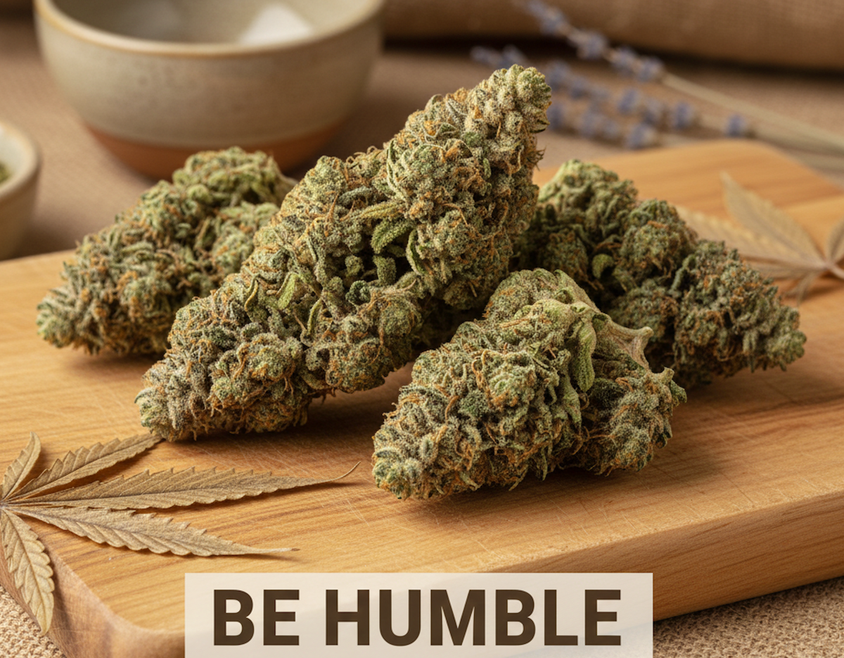 Be Humble: Craft Cannabis Excellence with Outstanding Value