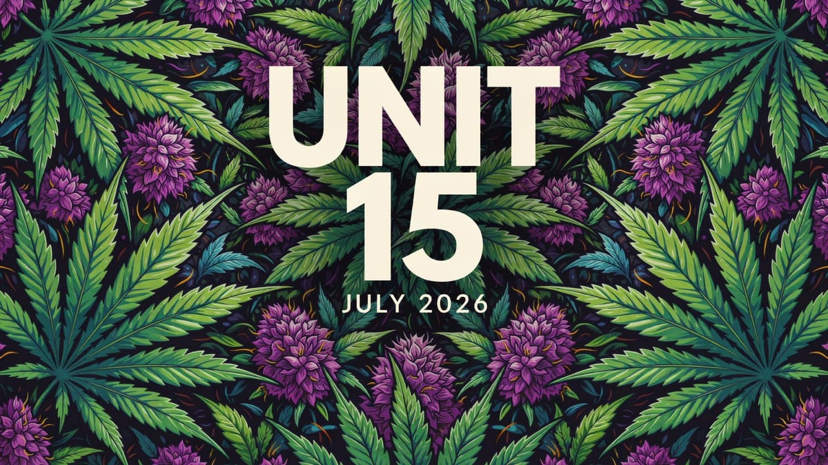 Consumer Sentiment Analysis July 2026 – Unit 15