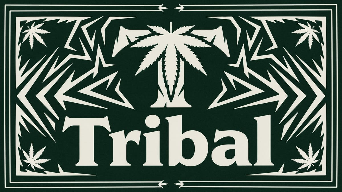 Consumer Sentiment Analysis August 2026 – Tribal