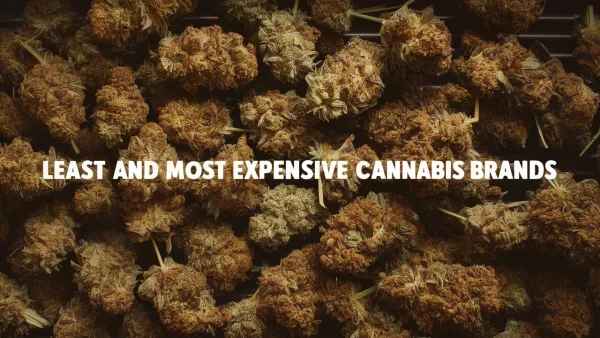 Least and Most Expensive Canadian Cannabis Brands