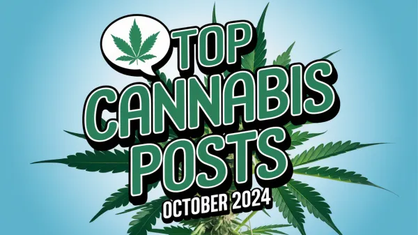 Top Canadian Cannabis Posts October 2024