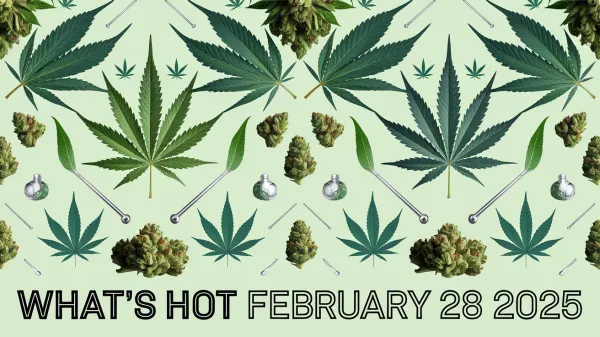 Hot Canadian Cannabis Products for the Weekend of February 28th 2025