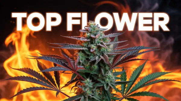 October 2025's Hottest Flower: What Reddit's Cannabis Community is Raving About