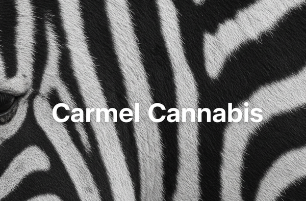 Carmel Cannabis in 2025: A Premium Brand in Crisis—Great Products Undermined by Pricing and Quality Control