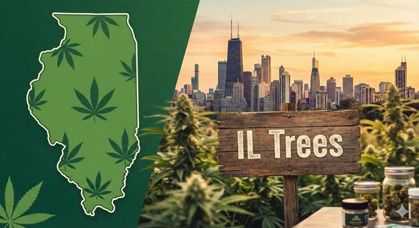 Deep Dive: The High-Stakes Shopper (r/ILTrees)