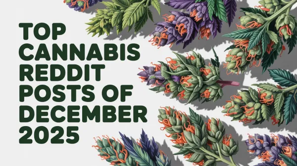 Top Cannabis Reddit Posts of December 2025