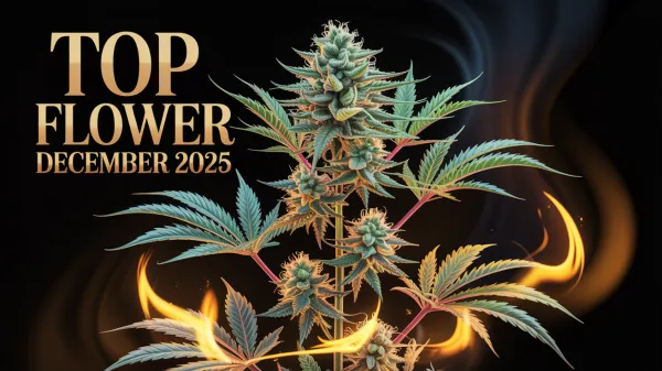 December 2025's Hottest Flower: The Batch is the New Brand