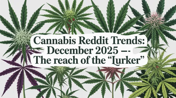 Cannabis Reddit Trends: December 2025 — The Reach of the "Lurker"