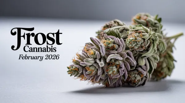 The Untouchable? Frost Cannabis Climbs to #2 While Holding a Perfect Score