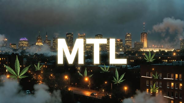 MTL Cannabis: The Paradox of the "Quietly Reliable" Staple