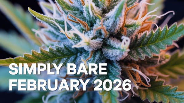 Simply Bare Under the Microscope: Why a Community Favorite Landed on Our "Don't Buy" List