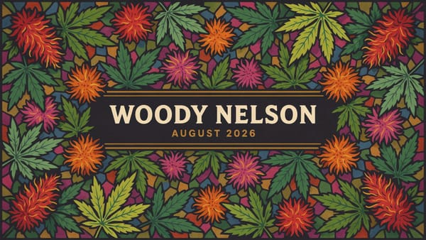 Consumer Sentiment Analysis August 2026 – Woody Nelson