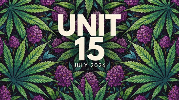 Consumer Sentiment Analysis July 2026 – Unit 15