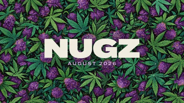 Consumer Sentiment Analysis August 2026 – Nugz