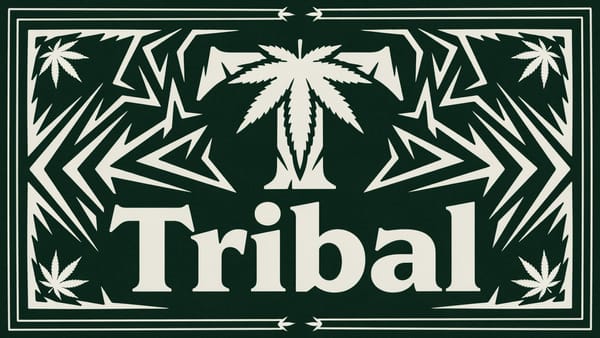 Consumer Sentiment Analysis August 2026 – Tribal